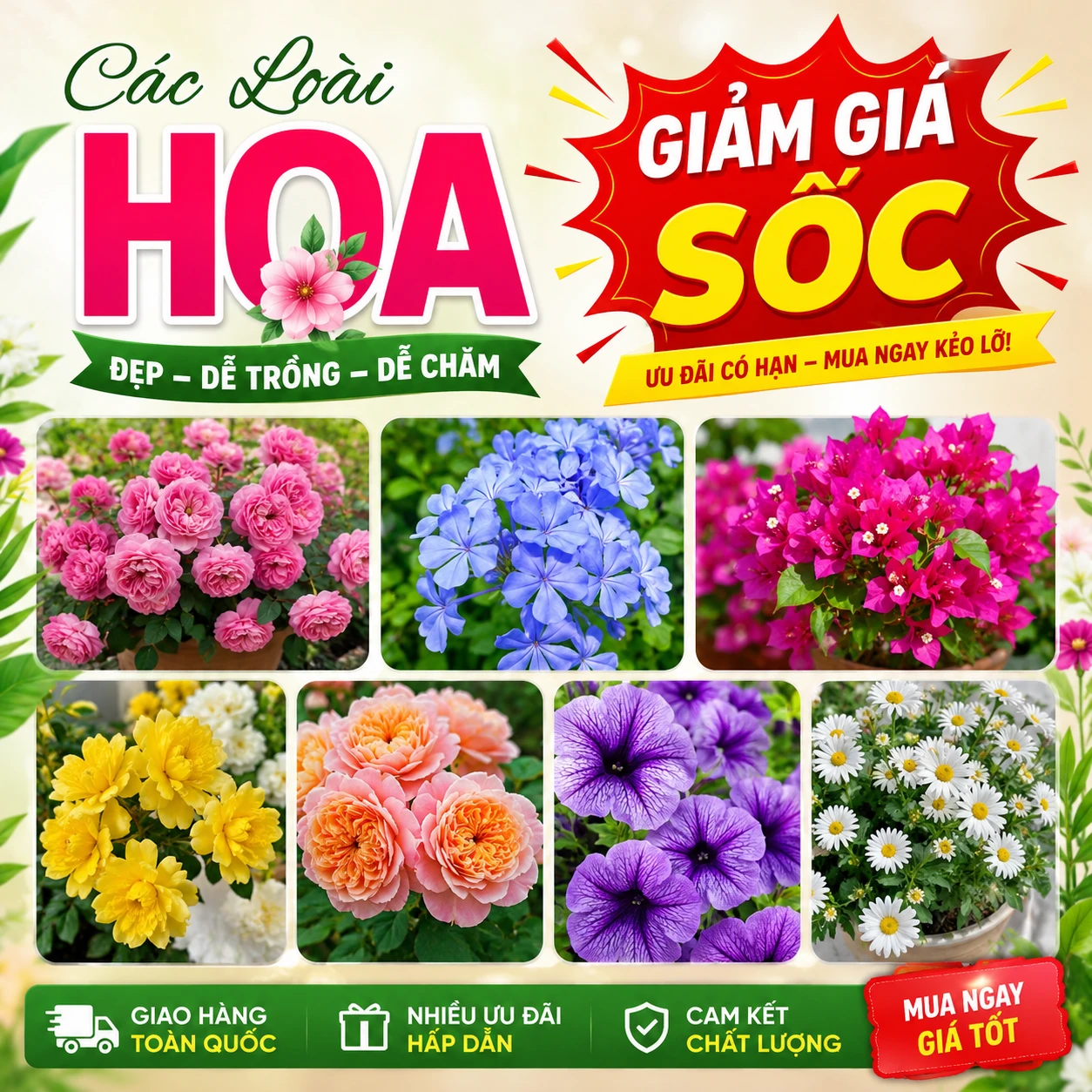 GIẢM GIÁ SỐC